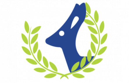 Kengurukonkurransen