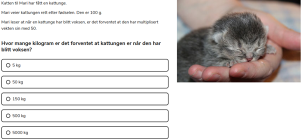 Nasjonale prøver eksempel reflektere og vurdere
