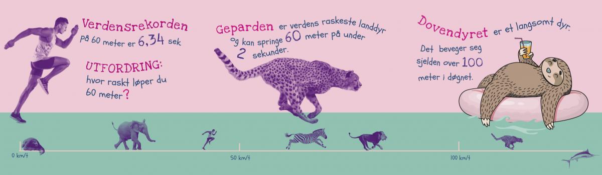 TetraRex_300ml_lett7.jpg