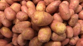 Hvor mange poteter?