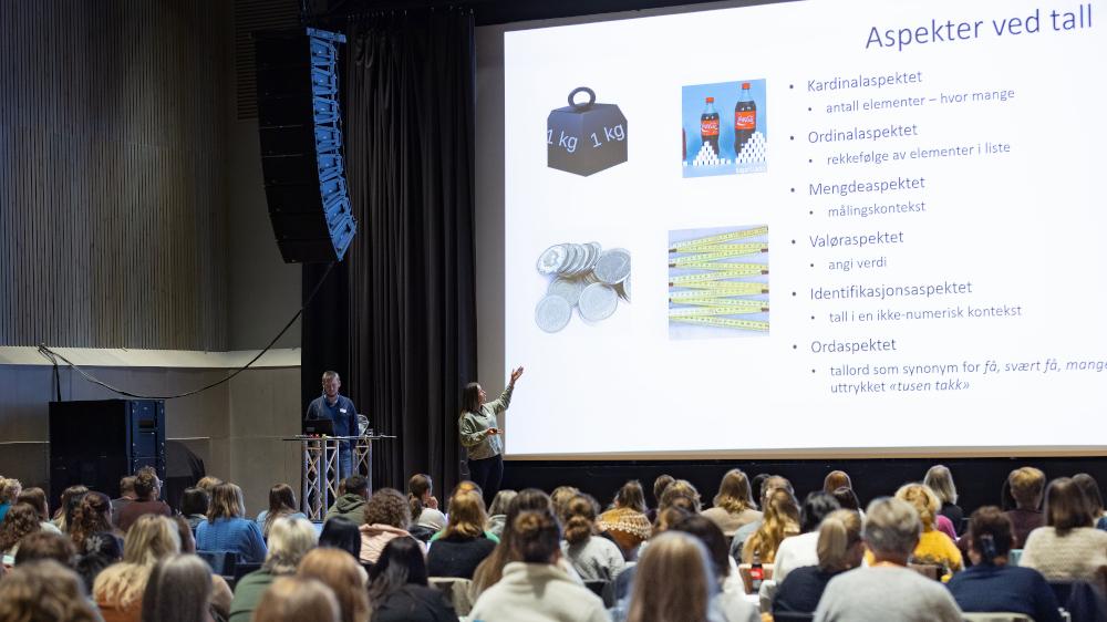 Dagsseminar