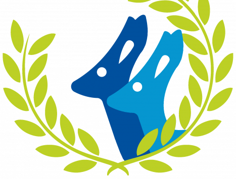 Logo Kenguru DUO
