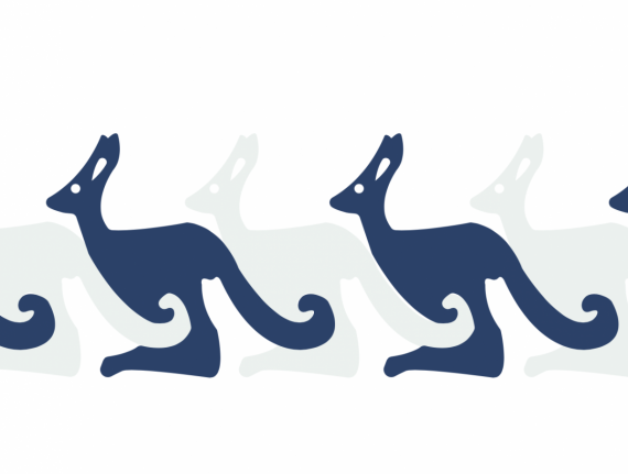 Kenguruer på rekke og rad