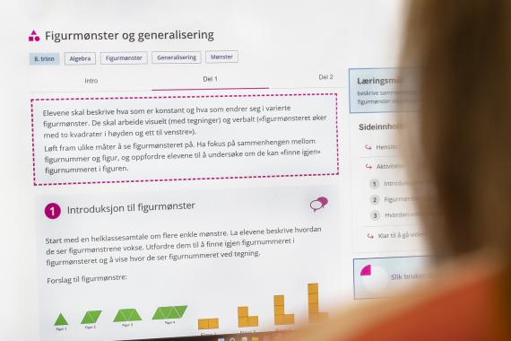 Et skjermbilde av SUM-ressurs om figurmønster.