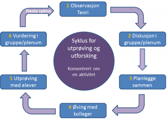 Syklus MAM